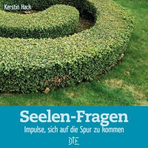 Cover of the book Seelen-Fragen by Kerstin Hack
