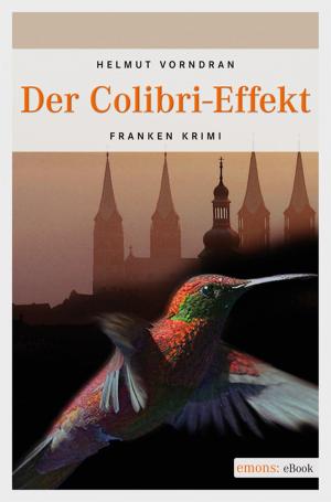 Cover of the book Der Colibri-Effekt by Lucia Jay von Seldeneck