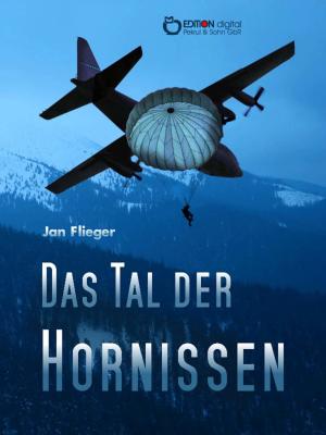 Book cover of Das Tal der Hornissen