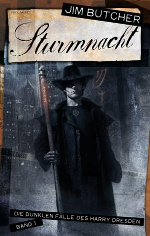 Cover of the book Sturmnacht by Jens Schumacher, Jens Lossau