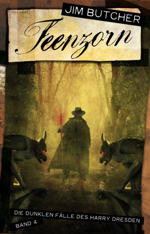 Cover of the book Feenzorn by Carl Sargent, Marc Gascoigne