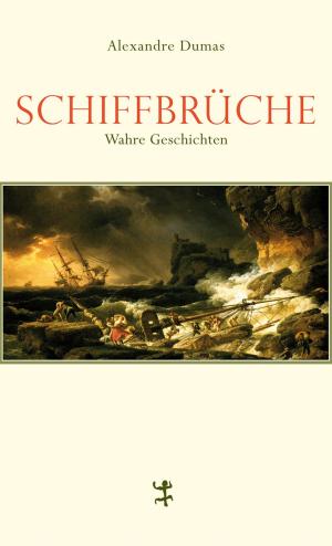 Cover of the book Schiffbrüche by Esther Kinsky