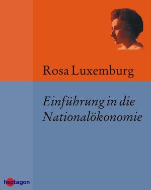Cover of the book Einführung in die Nationalökonomie by 