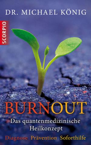 Cover of the book Burnout by Christine Merzeder