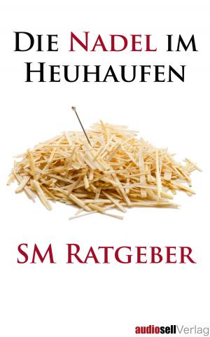 Cover of the book Die Nadel im Heuhaufen by JPaulette Forshey