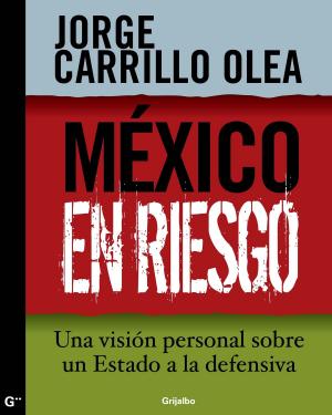 Cover of the book México en riesgo by Óscar Martínez, Juan José Martínez