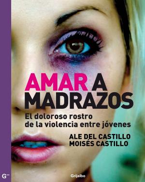 Cover of the book Amar a madrazos by Kyra Galván
