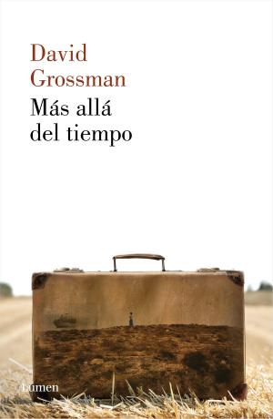 Cover of the book Más allá del tiempo by Anne Holt
