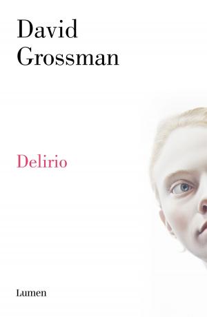 Cover of the book Delirio by Juan Cruz Ruiz