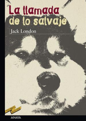 Cover of the book La llamada de lo salvaje by Andreu Martín, Jaume Ribera