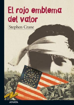 Cover of the book El rojo emblema del valor by David Blanco Laserna