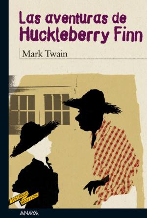 Cover of the book Las aventuras de Huckleberry Finn by Ana Alonso, Javier Pelegrín