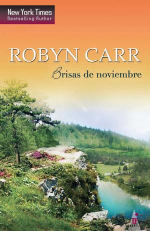 Book cover of Brisas de noviembre