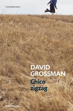 Cover of the book Chico zigzag by Valerio Massimo Manfredi