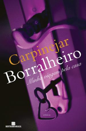 Cover of the book Borralheiro by Fabrício Carpinejar