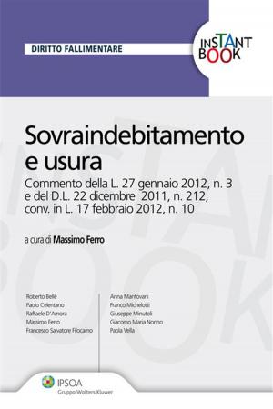 Cover of the book Sovraindebitamento e usura by Angelo Busani