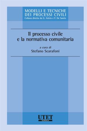 Cover of the book Il processo civile e la normativa comunitaria by Bartolomeo Romano (a cura di)