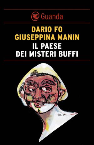 Cover of the book Il paese dei misteri buffi by Bill Bryson