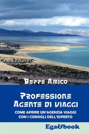 Book cover of Professione Agente di Viaggi