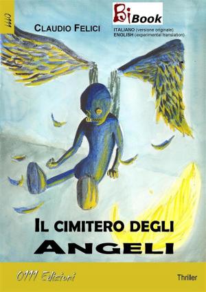 Book cover of Il cimitero degli Angeli