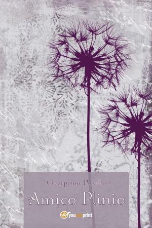 Cover of the book Amico Plinio by Francesca Moschini, Anna Meola