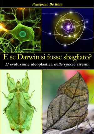 Book cover of E se Darwin si fosse sbagliato?
