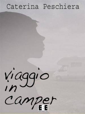 Book cover of Viaggio in camper