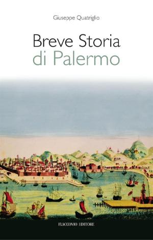 Cover of Breve storia di Palermo