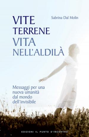 Cover of the book Vite terrene, vita nell'aldilà by Jennifer L. Verdolin