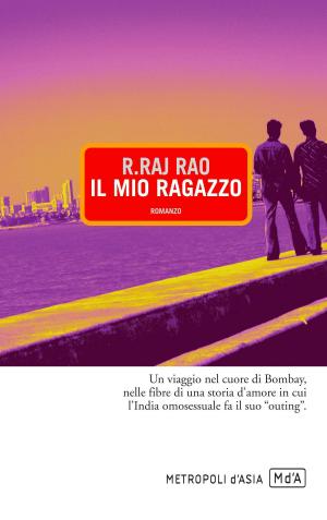 Cover of the book Il mio ragazzo by Michael S. Booker
