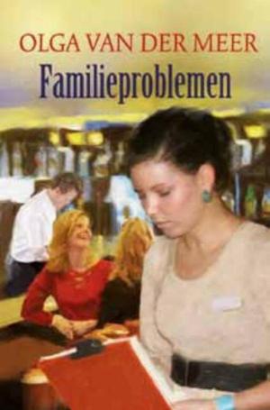 bigCover of the book Familieproblemen by 