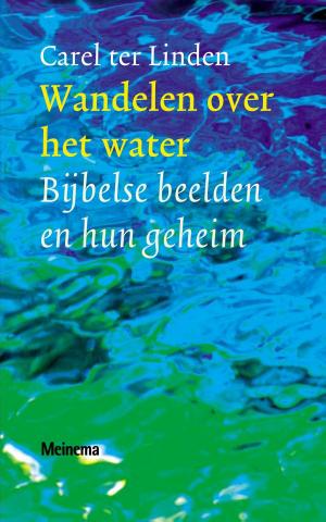 Cover of the book Wandelen over het water by Anton van Hooff