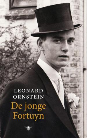 Cover of the book De jonge Fortuijn by J.P. Delaney