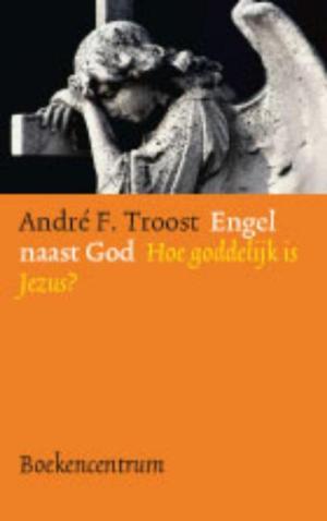 Cover of the book Engel naast God by Natasha Pulley