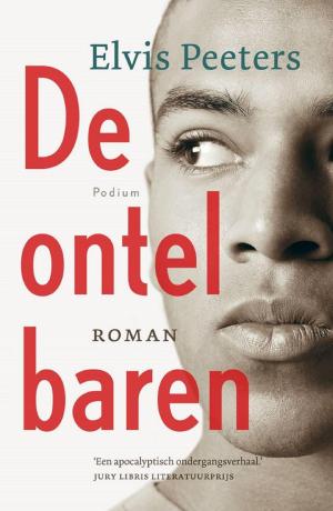 Cover of the book De ontelbaren by Joris Luyendijk