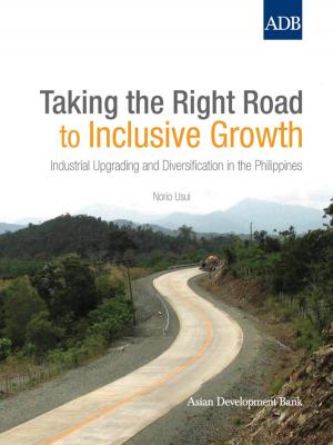 Cover of the book Taking the Right Road to Inclusive Growth by Kathleen McLaughlin, Raushan Nauryzbayeva