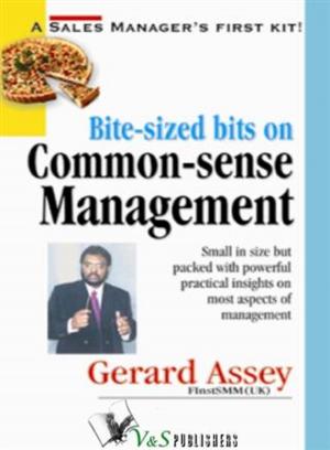 Cover of the book Bite-sized bits on Common Sense Management by J.M. MEHTA