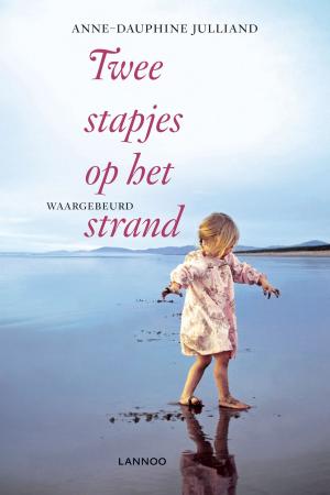 Book cover of Twee stapjes op het strand