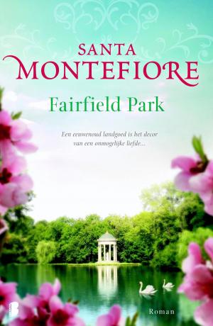Cover of the book Fairfield Park by Jessica Ruston