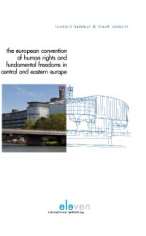 Book cover of The European convention of human rights and fundamental freedoms in central and eastern Europe