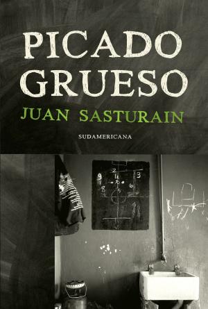 Cover of the book Picado grueso by Fabio Zerpa