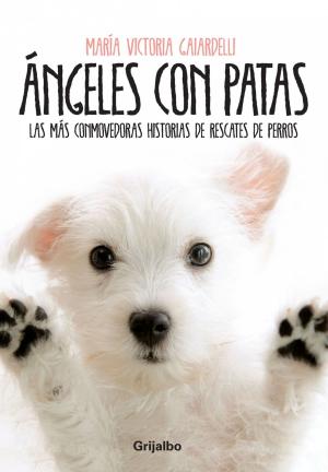 Cover of the book Ángeles con patas by Magalí Tajes