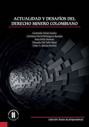 Cover of the book Actualidad y desafíos del derecho minero colombiano by Virginia Bouvier