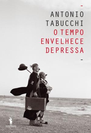 Book cover of O Tempo Envelhece Depressa