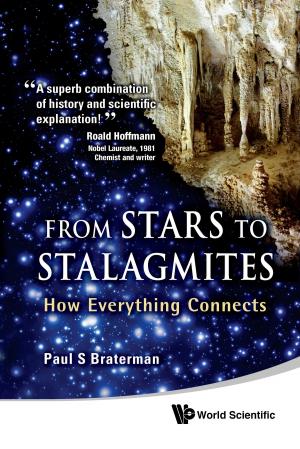 Cover of the book From Stars to Stalagmites by Tomas J Silber, Harshita J Saxena