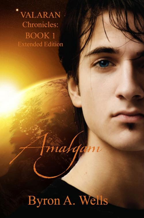 Cover of the book Amalgam, The Valaran Chronicles Book 1 by Byron A. Wells, W3 Innovations