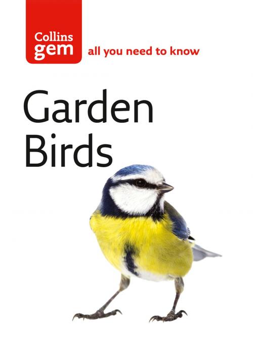 Cover of the book Garden Birds (Collins Gem) by Stephen Moss, HarperCollins Publishers