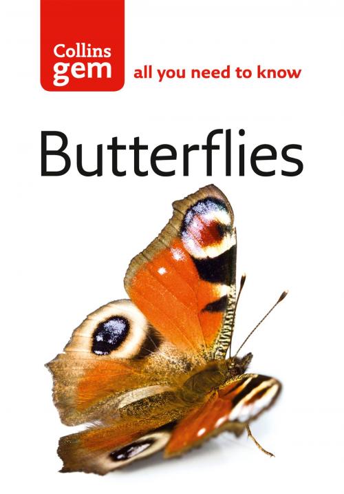 Cover of the book Butterflies (Collins Gem) by Michael Chinery, HarperCollins Publishers