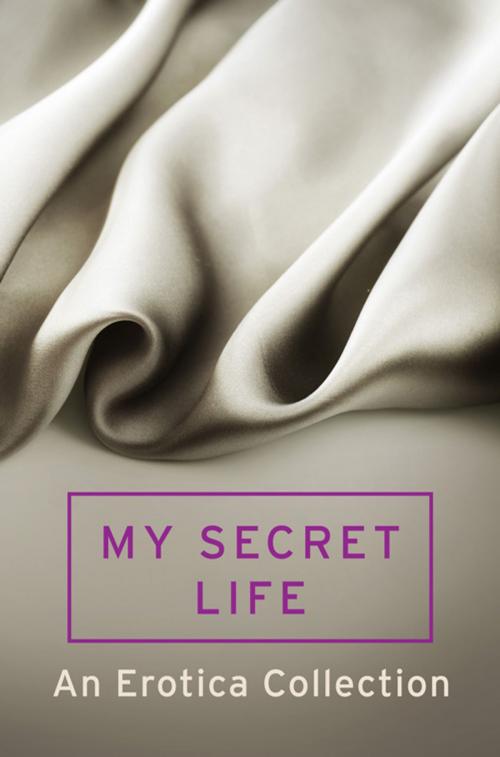Cover of the book My Secret Life by Mischief, HarperCollins Publishers