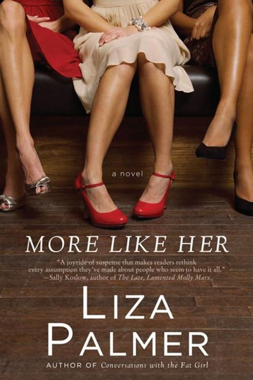Cover of the book More Like Her by Liza Palmer, William Morrow Paperbacks